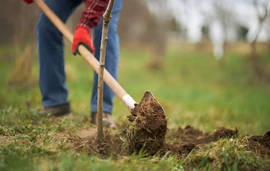 انواع کود بر اساس زمان آزادسازی و فرمولاسیون