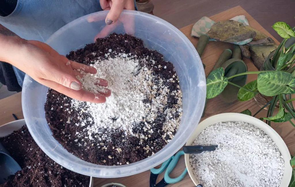 انواع کودها؛ تفاوت کودهای آلی و شیمیایی