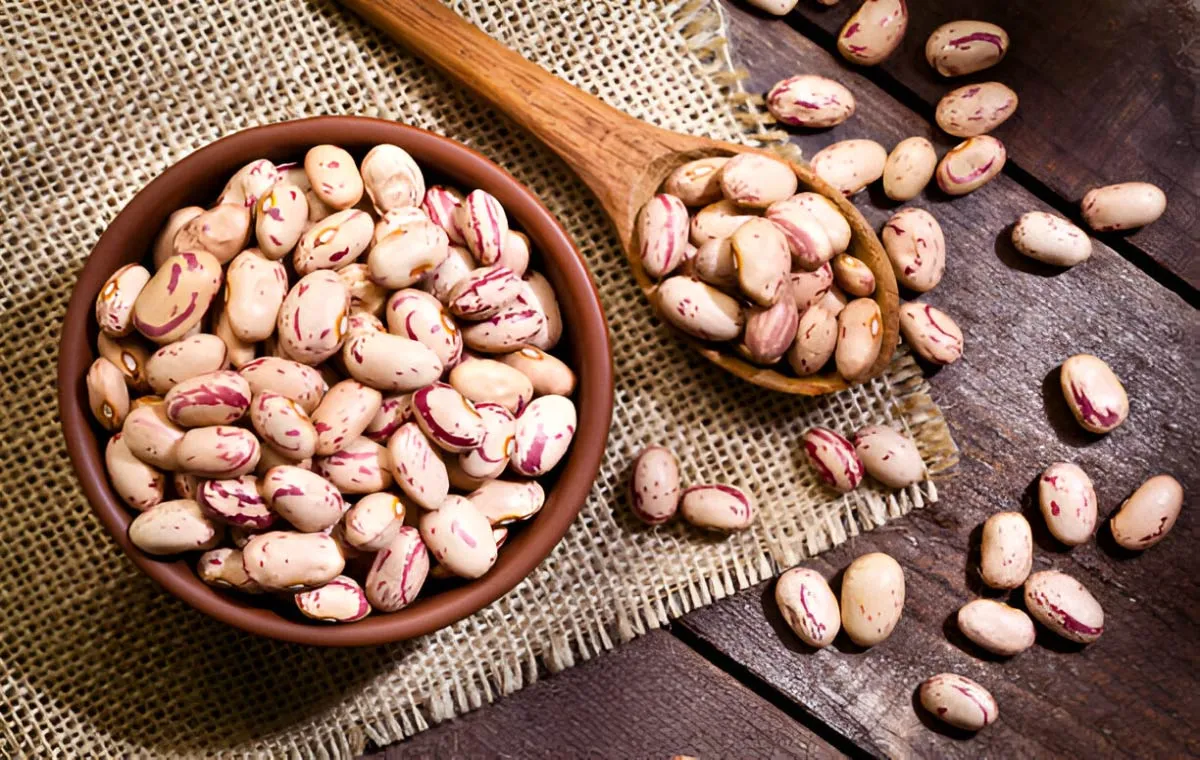 خواص لوبیا چیتی