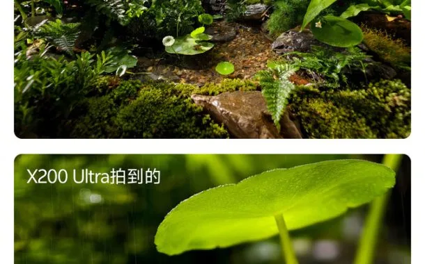 تصاویر ثبت شده از قورباغه در جنگل توسط دوربین تلهفوتو ویوو X200 اولترا