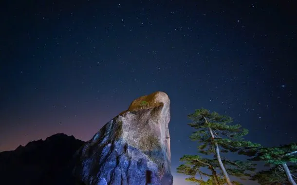 تصاویر ثبت شده توسط دوربین اصلی ویوو X200 اولترا