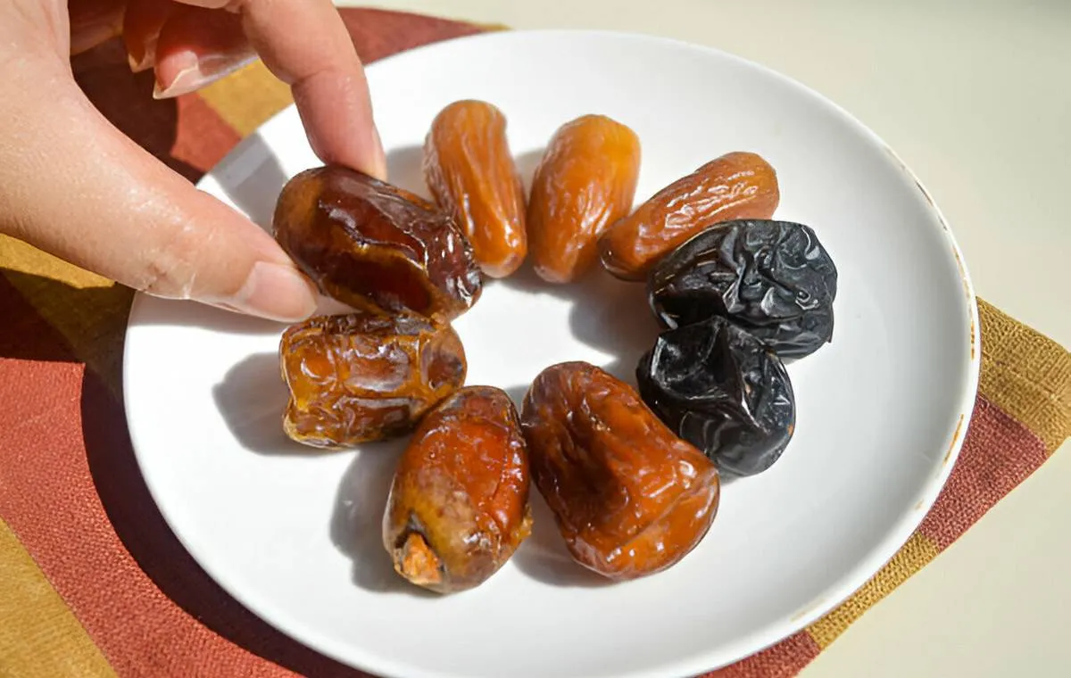 کالری خرما چقدر است؛ بررسی انواع خرما و مقایسه با قند