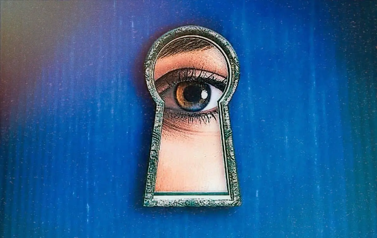 کتاب شبیه خدمتکار