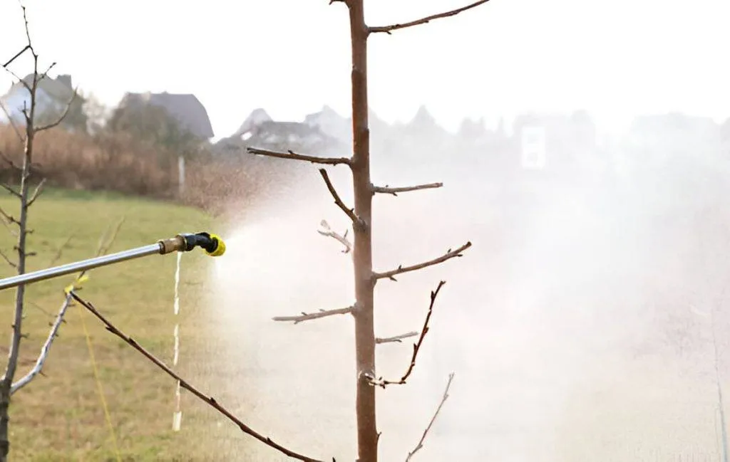 بهترین سمپاش شارژی دو کاره