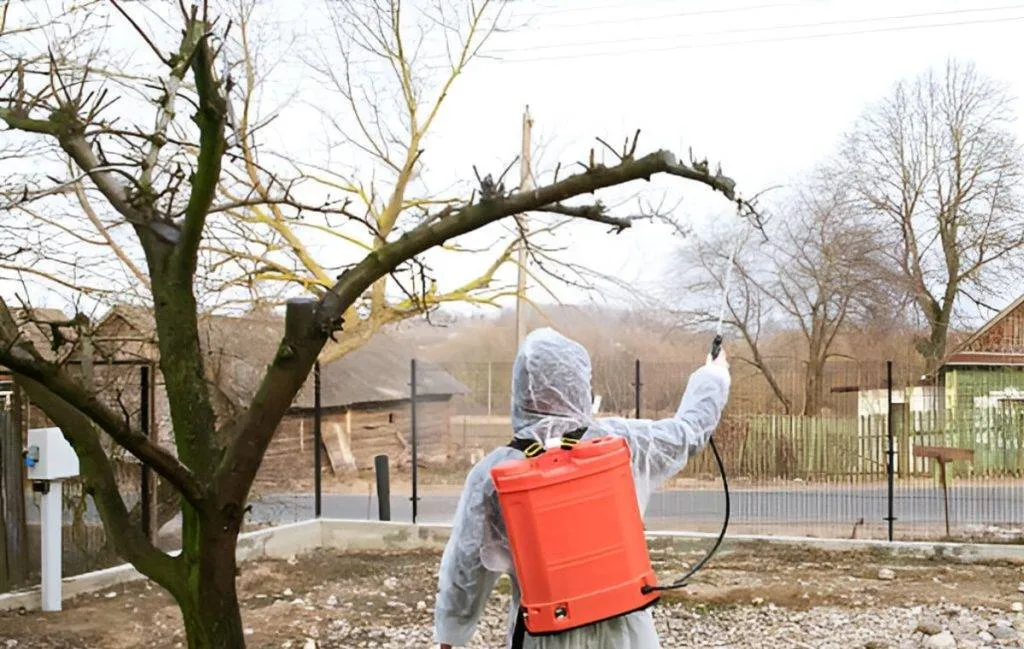 بهترین سمپاش شارژی پشتی