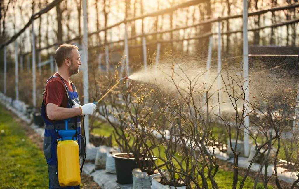 خرید بهترین سمپاش شارژی بازار