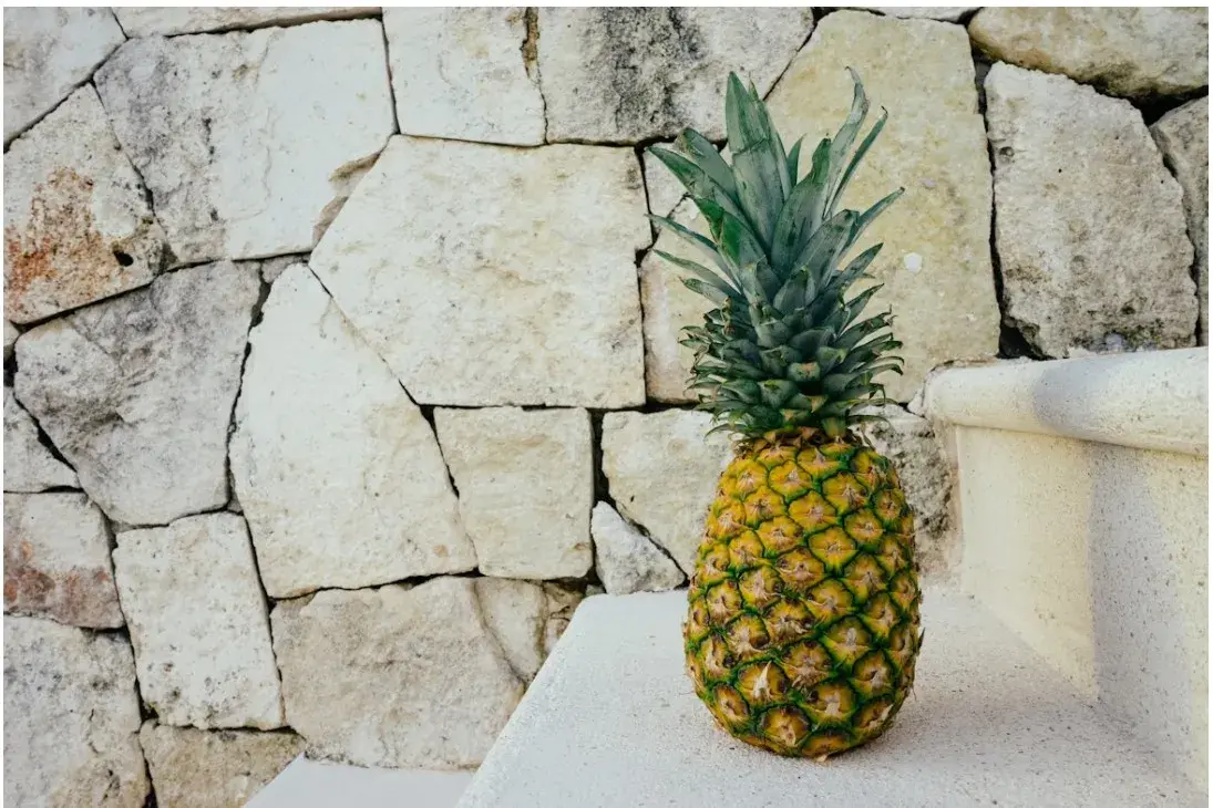 دیوارپوش سنگ