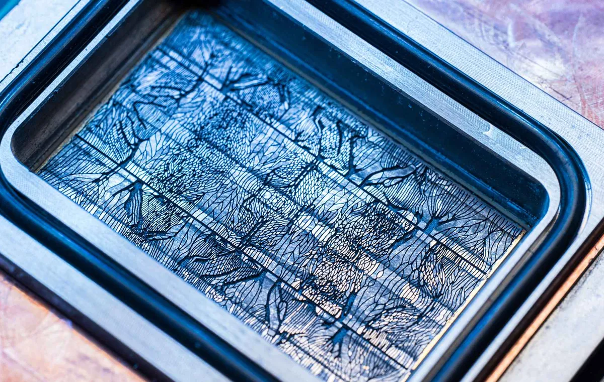 مایکروسافت