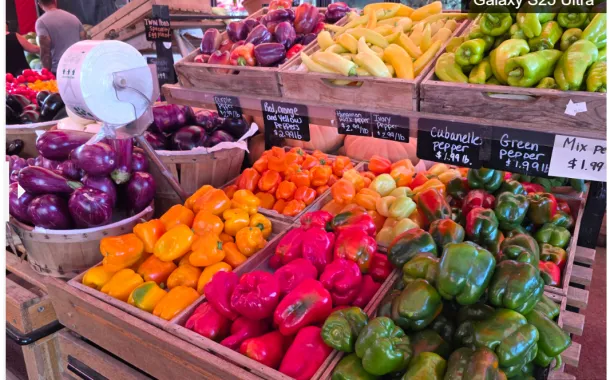 مقایسه دوربین گلکسی S25 اولترا با آیفون ۱۷ پرو مکس