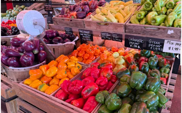 مقایسه دوربین گلکسی S25 اولترا با آیفون ۱۷ پرو مکس