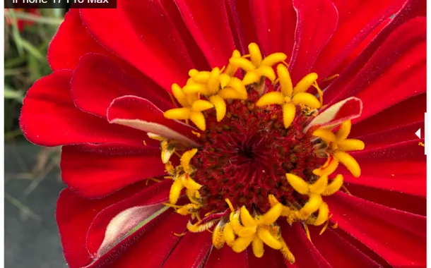 مقایسه دوربین گلکسی S25 اولترا با آیفون ۱۷ پرو مکس