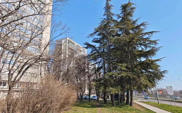 شیائومی 15 اولترا - اصلی