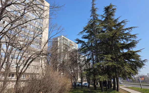 گلکسی S25 اولترا - اصلی