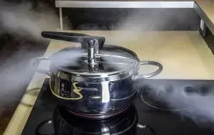 زودپز برقی یا گازی؛ کدام یک برای آشپزخانه شما مناسبتر است؟