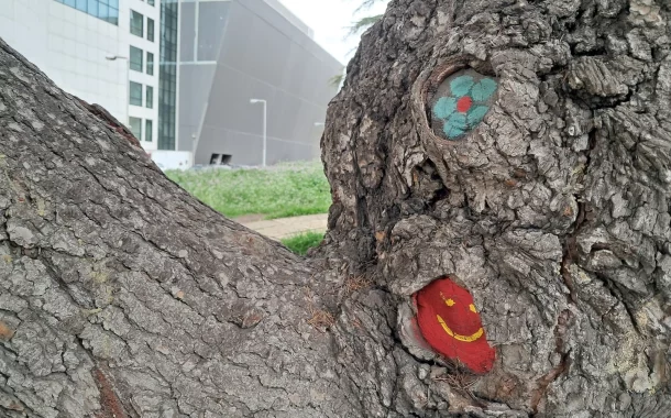 تست دوربین گلکسی A26