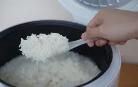 rice cooker