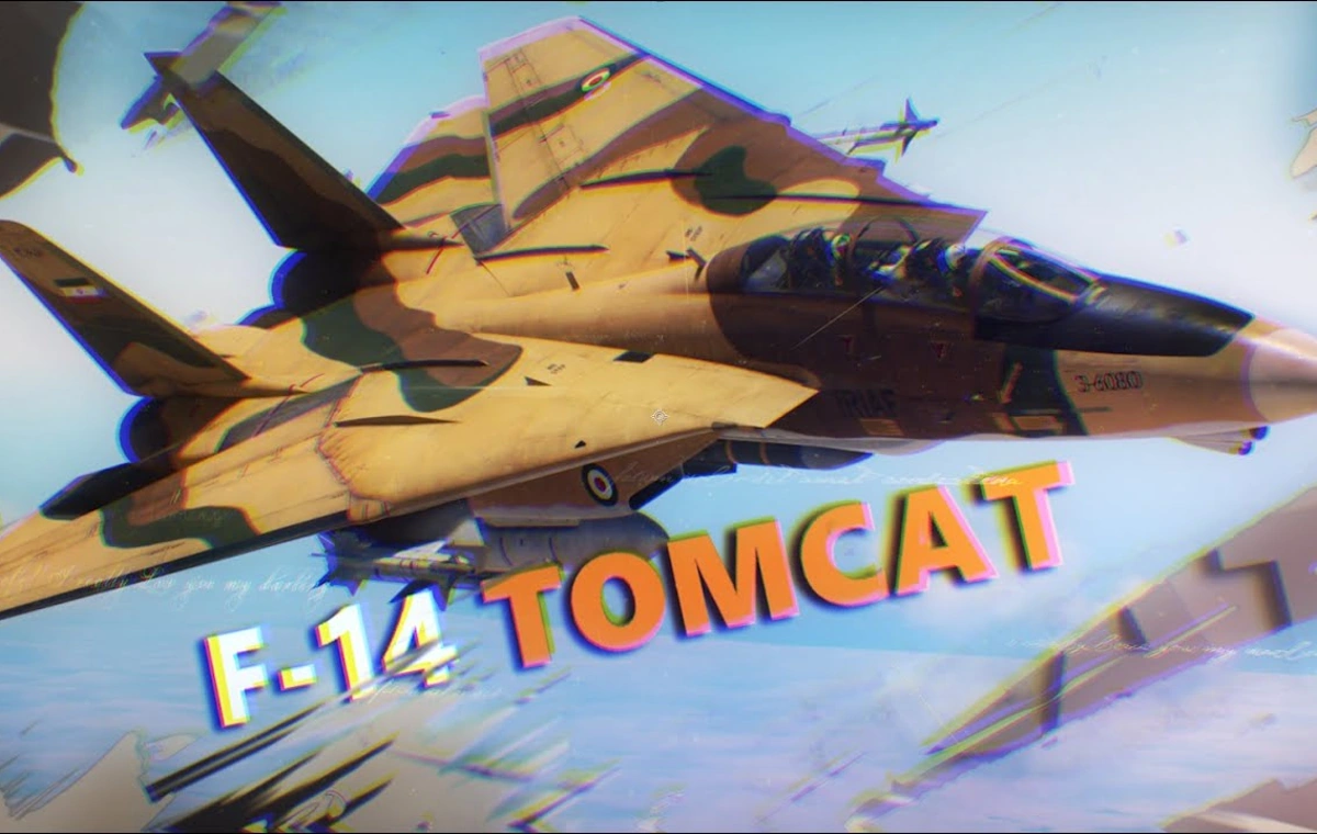 مقایسه اف 14 با میگ 29