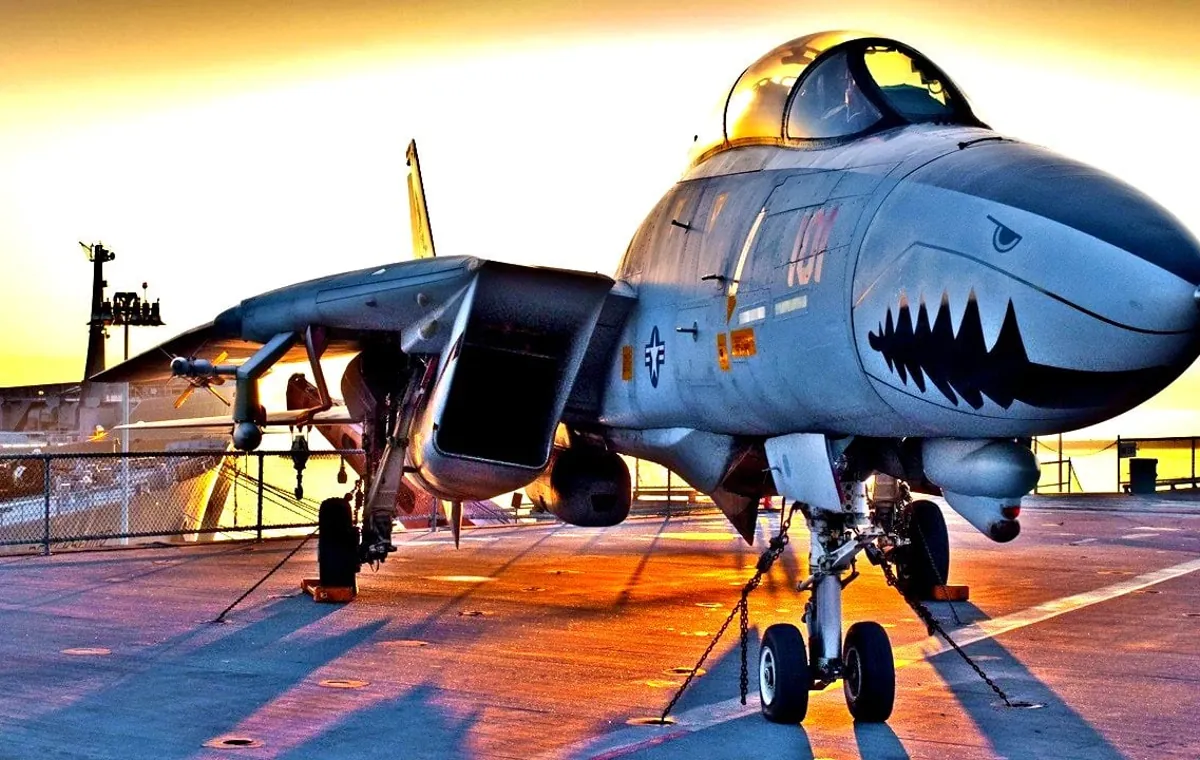 مقایسه اف 14 با میگ 29