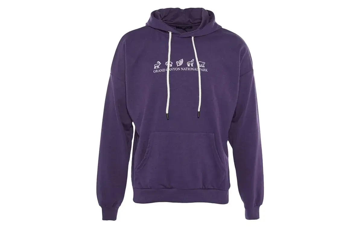 هودی مردانه ترندیول مدل 304166650