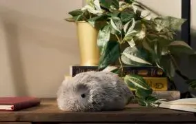 نقد و بررسی مافلین