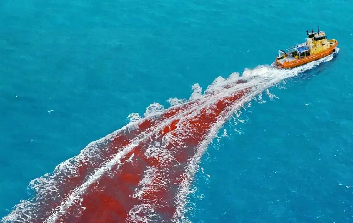 حیوانات خطرناک (Dangerous Animals)