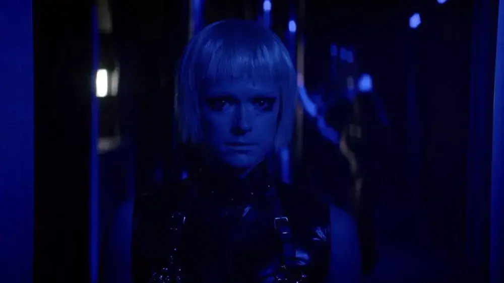 dogs dont wear pants