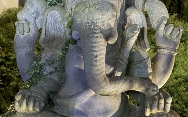 دوربین اصلی آیفون ۱۷ پرو