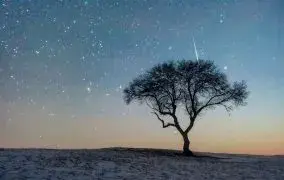 یک شهاب درخشان (آذرگوی) در بارش شهابی اسدی