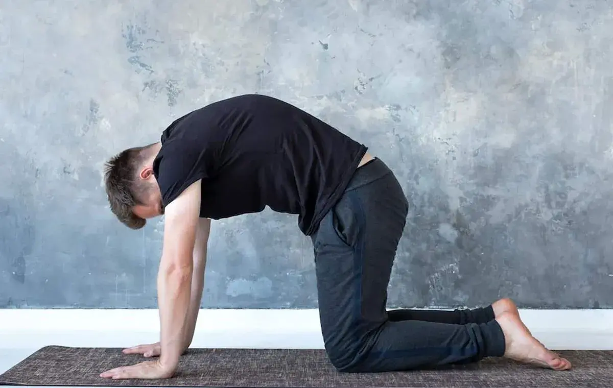 ژست کشش گربهگاو (Chakravakasana)
