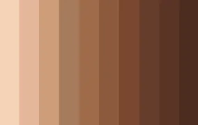 رنگ‌های نود چه رنگ‌هایی هستند؟