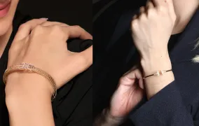 بنگل چیست؟ آشنایی با انواع بنگل