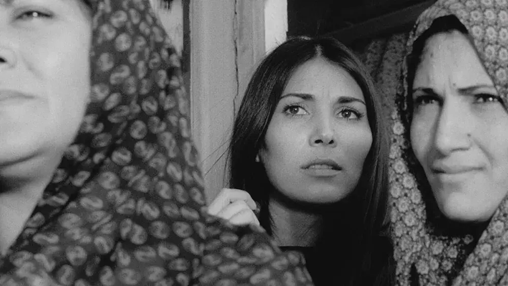 پروانه معصومی