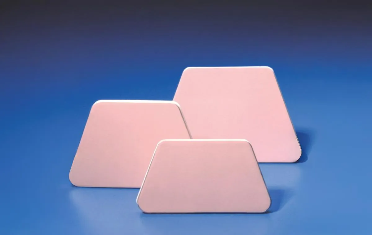 نوزونت بینی خارجی