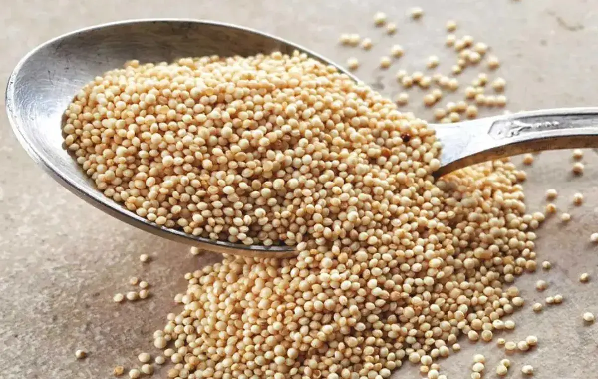 انواع آمارانت چه هستند؟