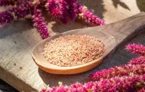 آمارانت چیست؟