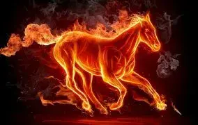 سال 1405 چه حیوانی است