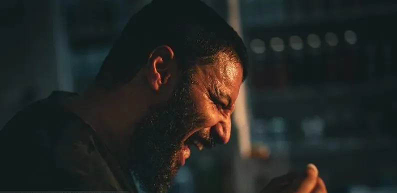 بررسی فصل دوم وحشی