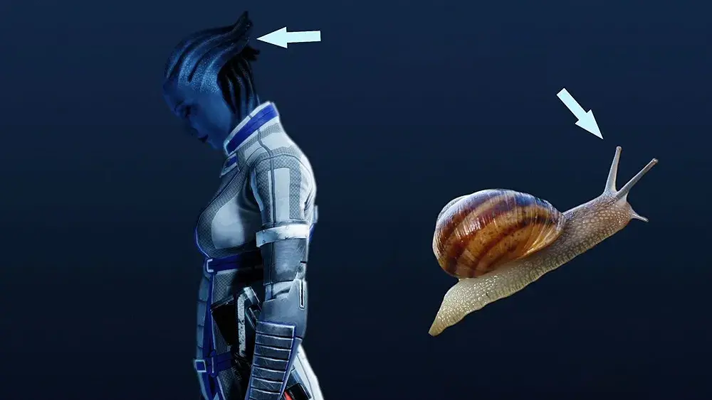 Asari