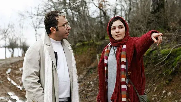 ماهی و گربه