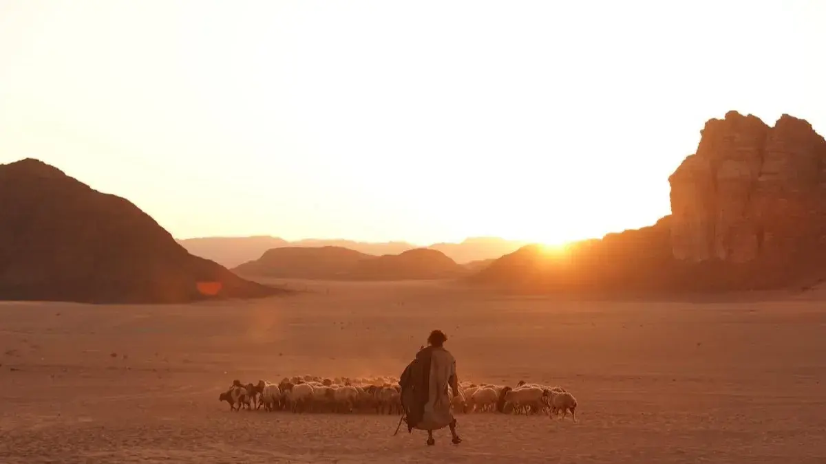 فیلم The Goat Life از بهترین فیلمهای هندی بر اساس واقعیت