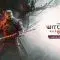 Witcher 3 Songs of the Past