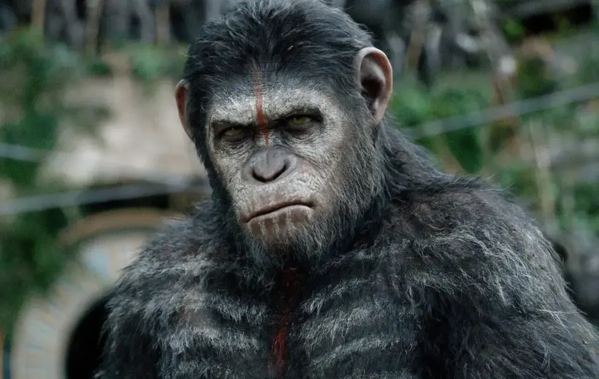 بهترین فرنچایزهای علمی-تخیلی؛ سیاره میمون‌ها (Planet of the Apes)