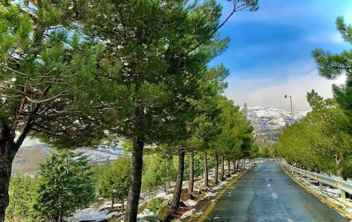 کوهسار تهران