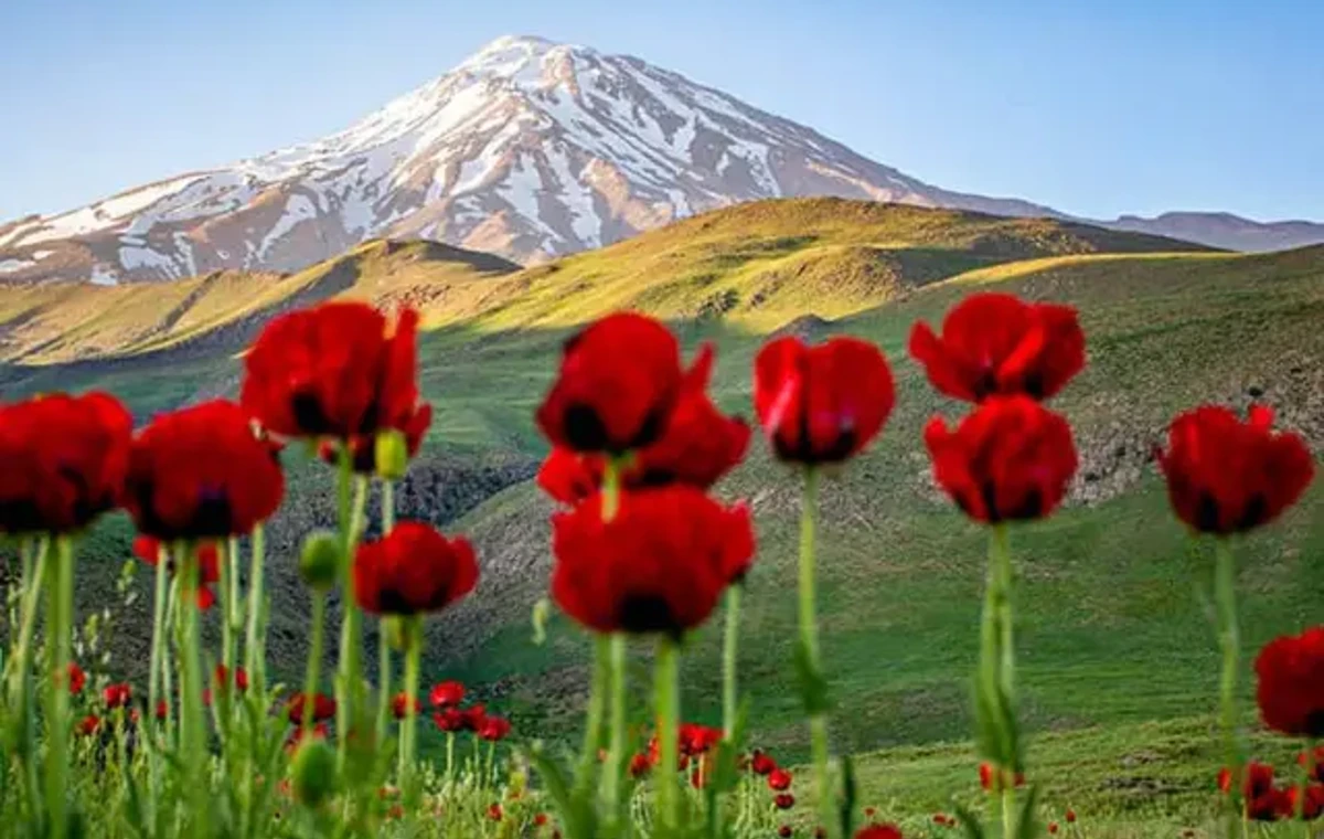 ۴۳. دشت لار