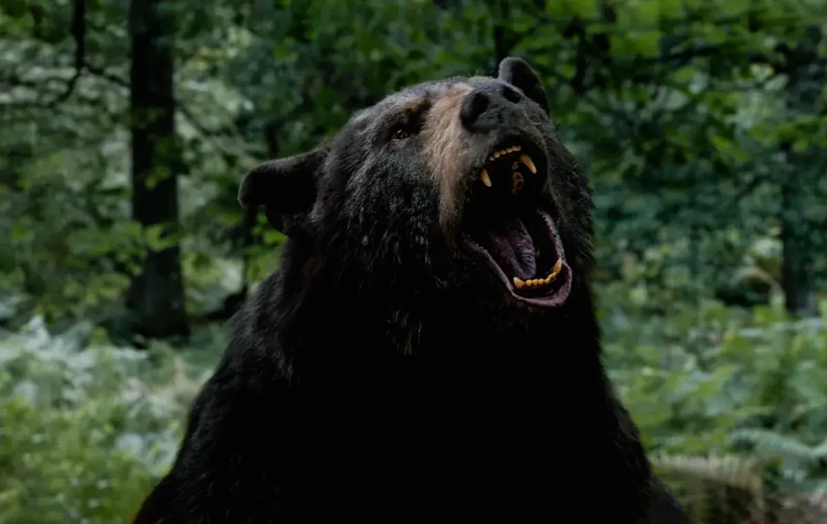 خرس کوکائینی (Cocaine Bear)