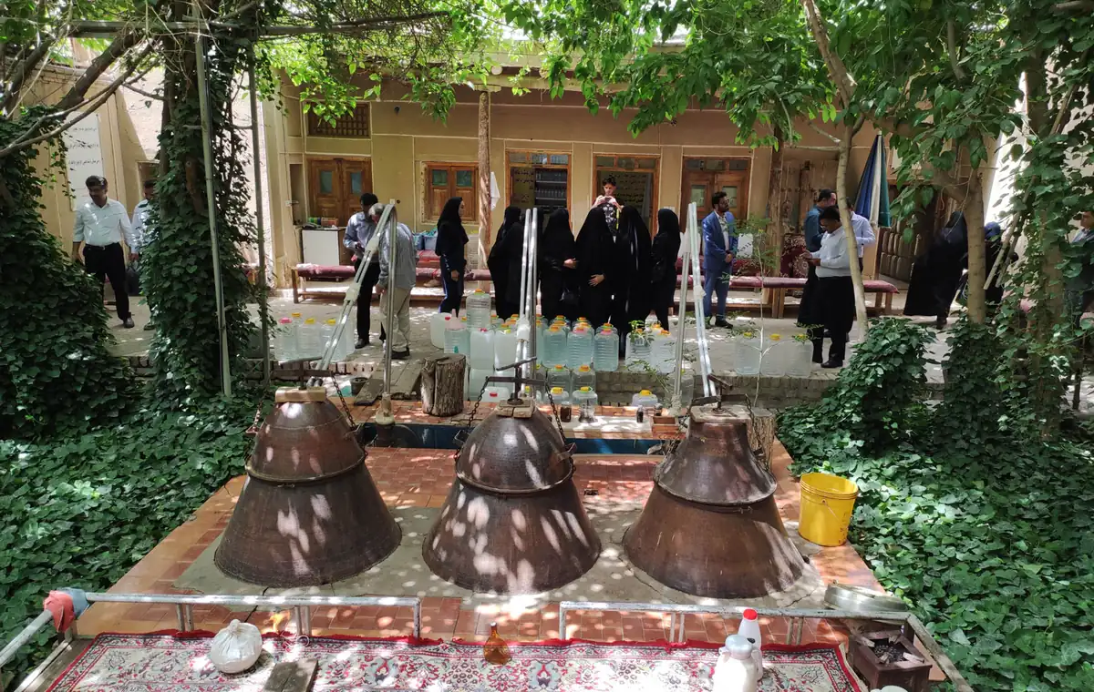 مراسم گلابگیری در قمصر کاشان