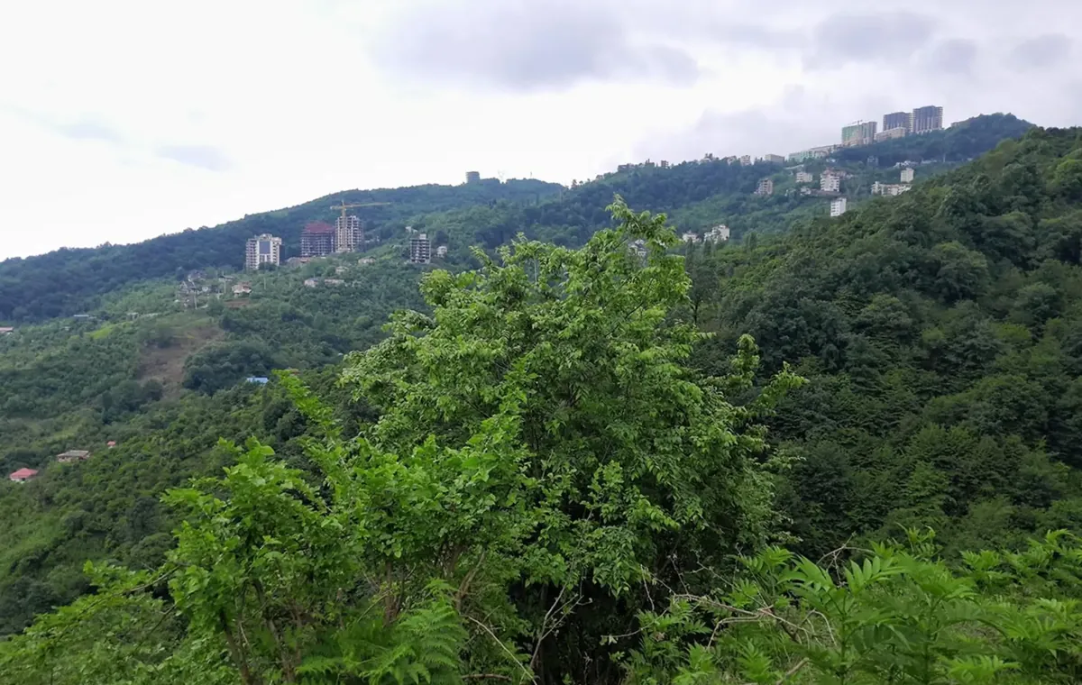 اربکله رامسر