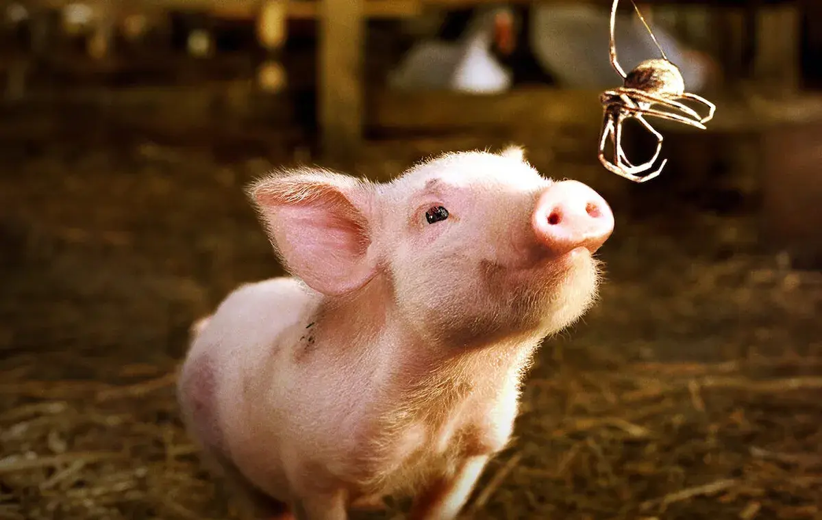 فیلم درباره حیوانات سخنگو ؛ تار شارلوت (Charlotte’s Web)