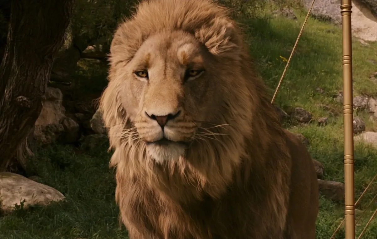 فیلم درباره حیوانات سخنگو ؛ سرگذشت نارنیا: شیر، کمد و جادوگر (The Chronicles of Narnia: The Lion, the Witch and the Wardrobe)