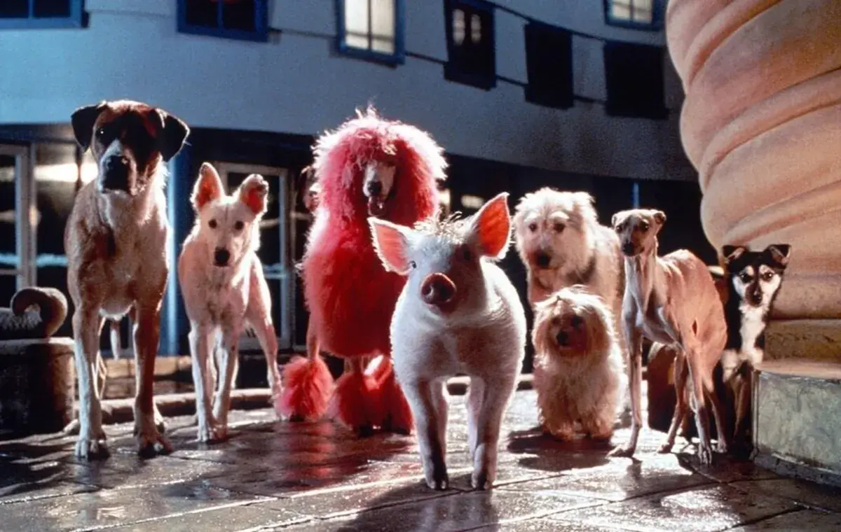 فیلم درباره حیوانات سخنگو ؛ بیب: خوک در شهر (Babe: Pig in the City)